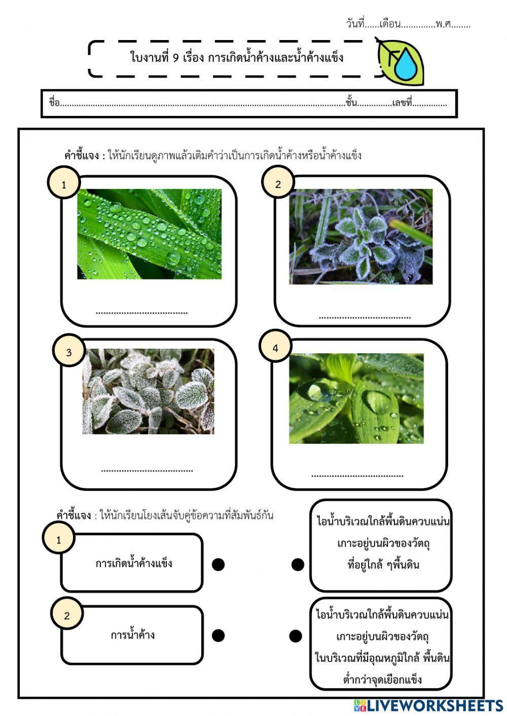 9 การเกิดน้ำค้างและน้ำค้างแข็ง