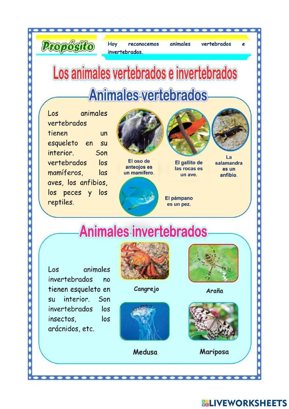 Animales vertebrado e invertebrados