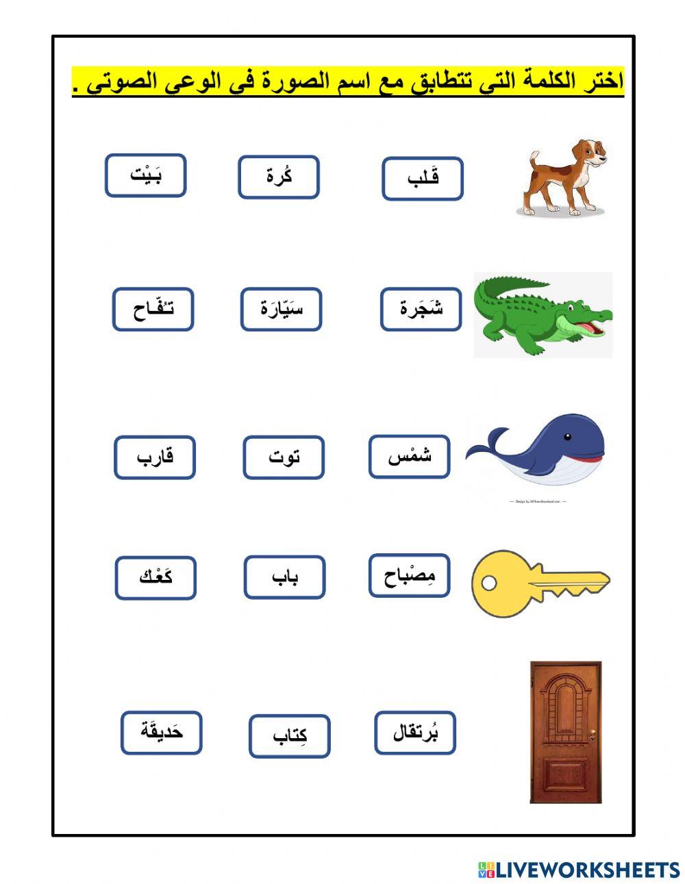 الوعي الصوتي