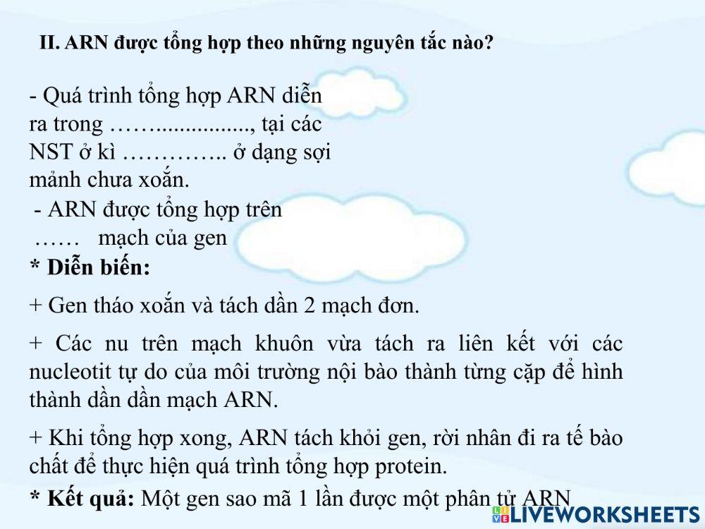 Bài 17. Mối quan hệ giữa gen và ARN