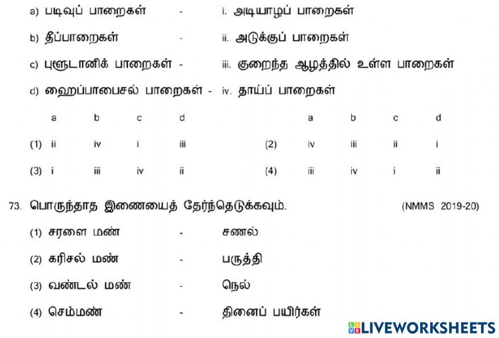8. பாறை மற்றும் மண்-2