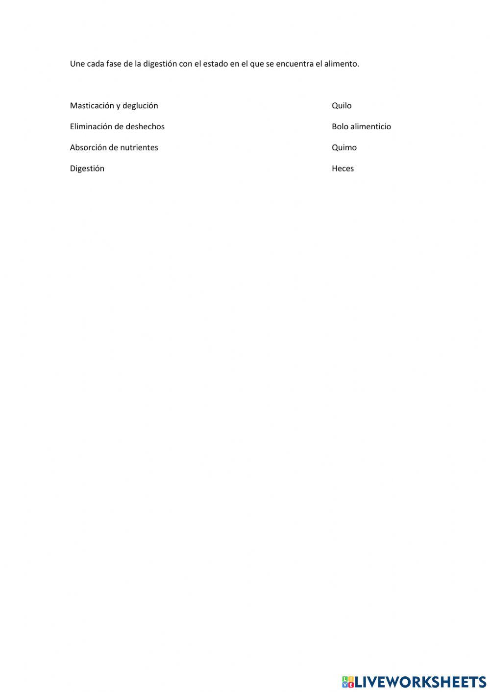 Ejercicio de la digestión