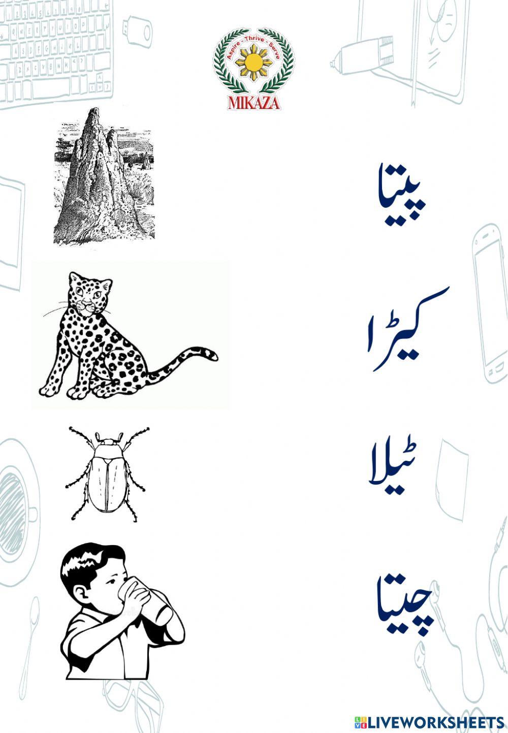 Prep II: Urdu Worksheet