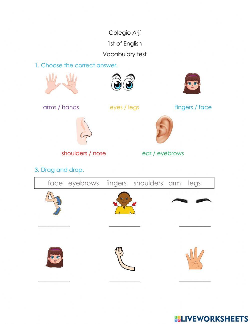 Vocabulary Test Parts of the body
