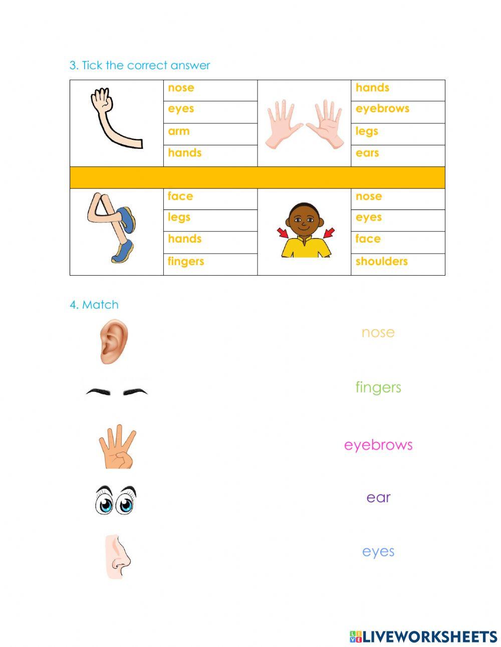 Vocabulary Test Parts of the body