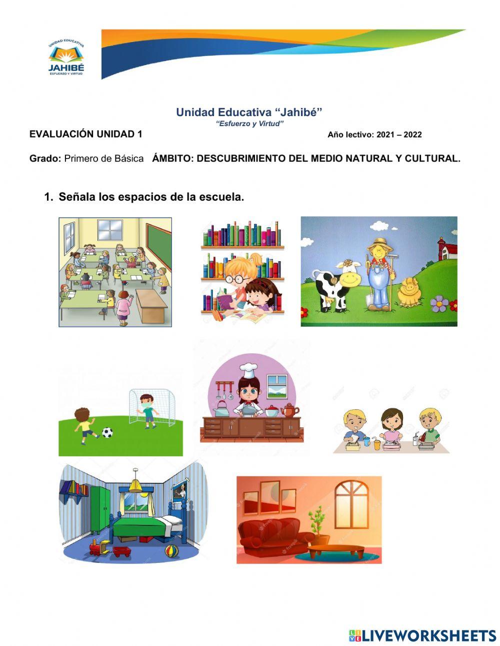 Descubrimiento del medio natural