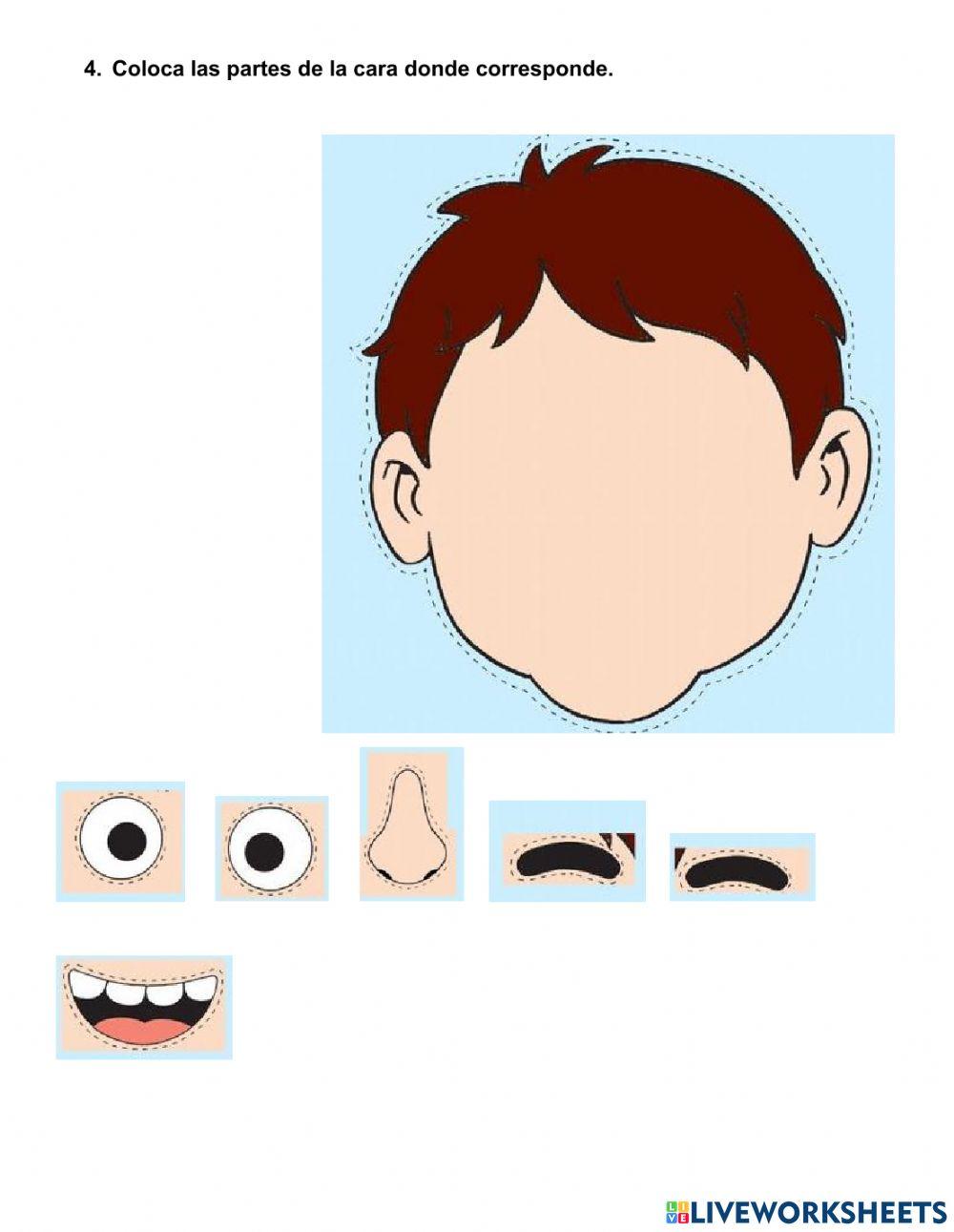 Descubrimiento del medio natural