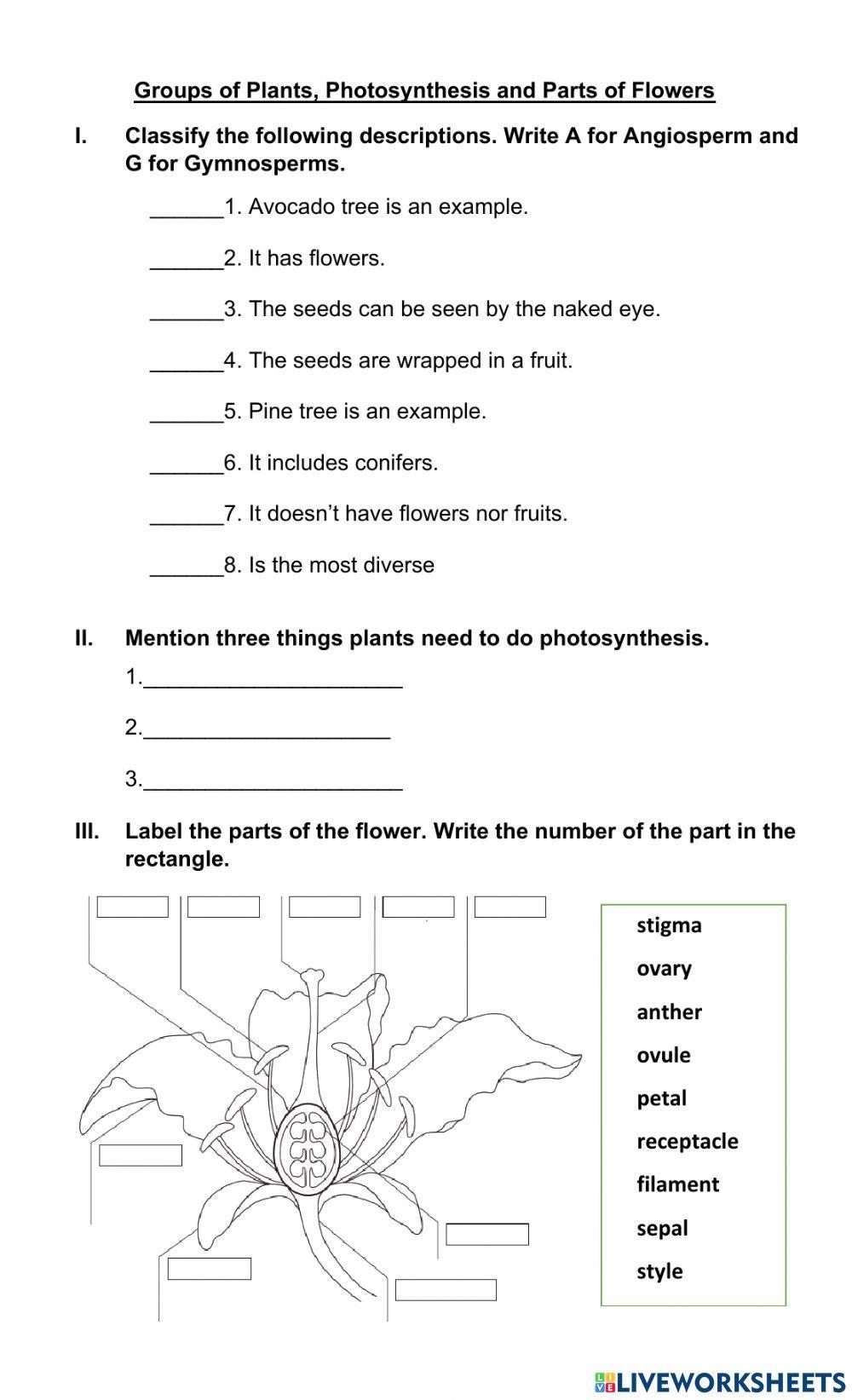 Gymnosperm, Angiosperms, Photosynthesis and Parts of the Flower