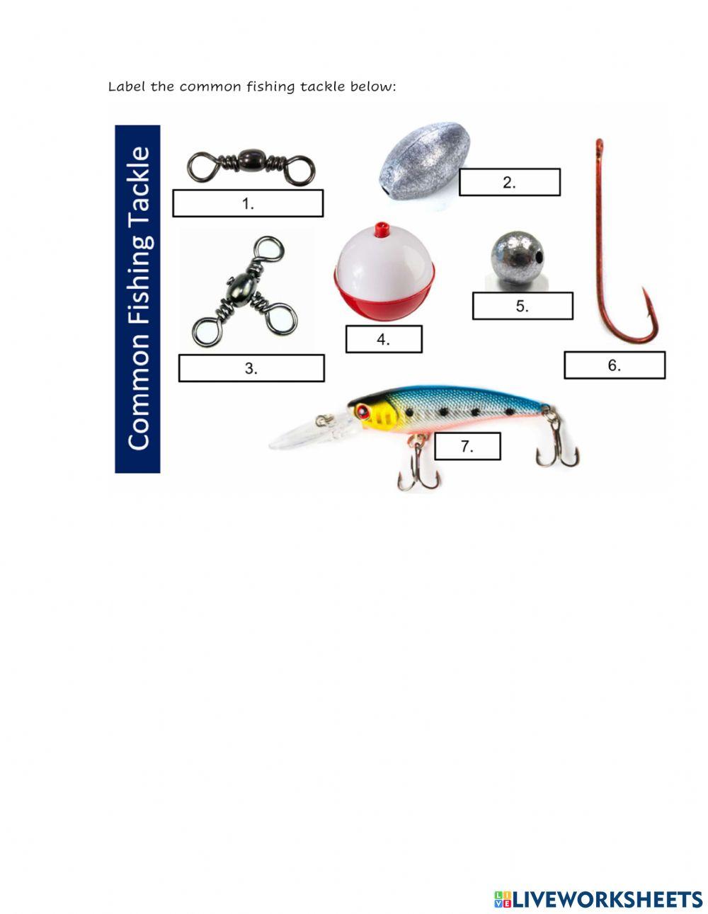 Fishing Equipment and Uses worksheet