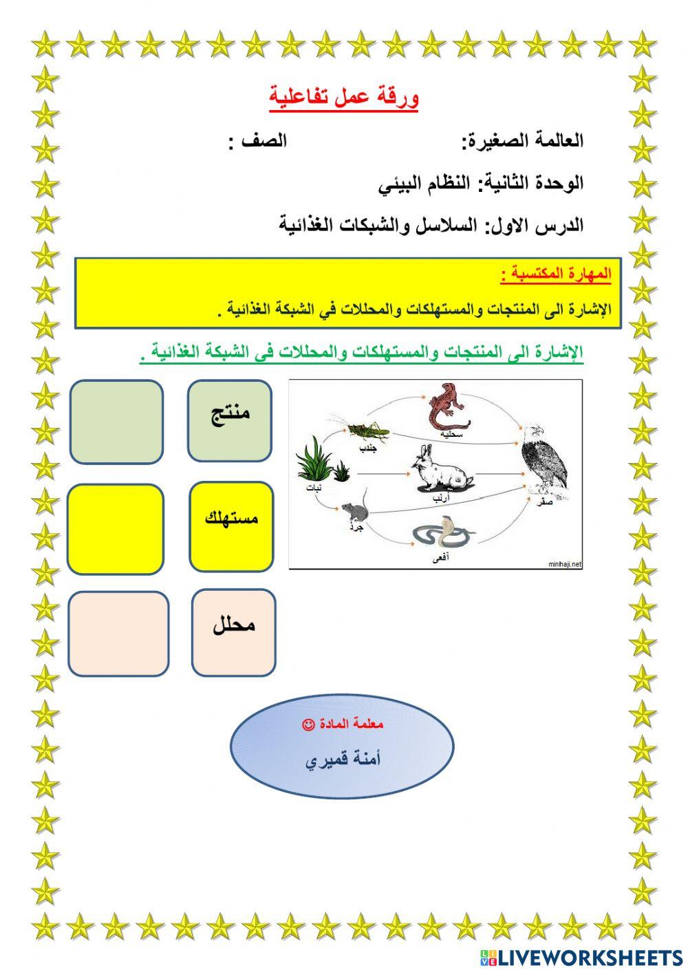 ورقة عمل تفاعلية السلاسل والشبكات الغذائية