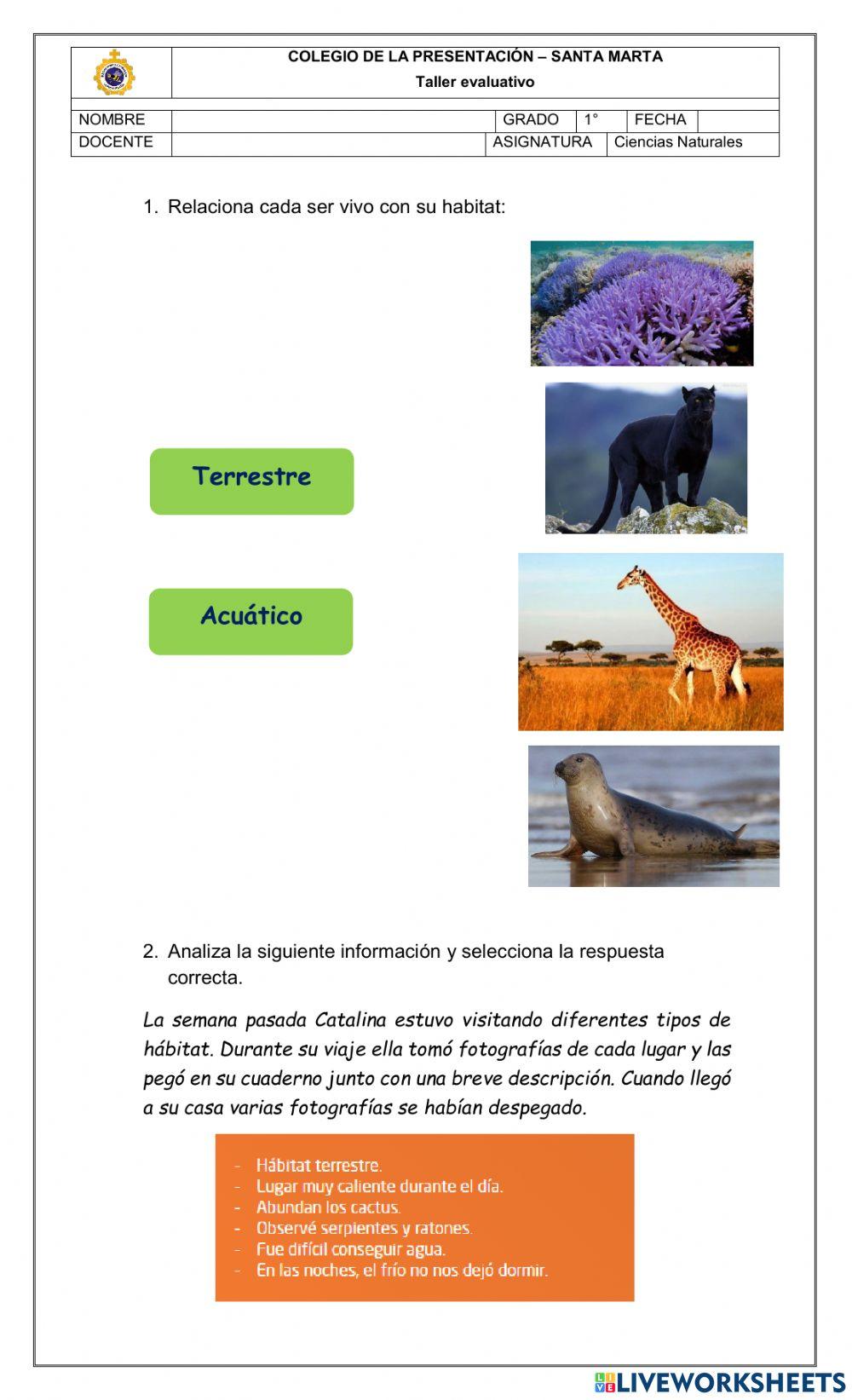 Taller evaluativo hábitat