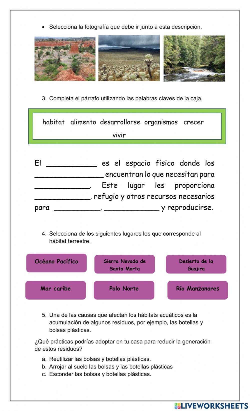 Taller evaluativo hábitat