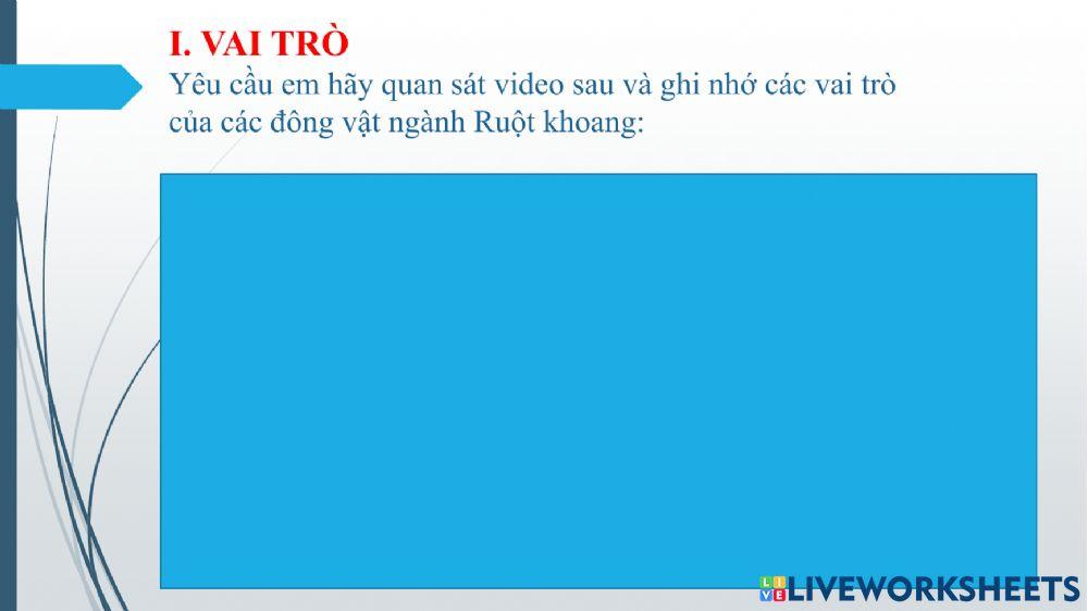 Pht - đặc điểm chung và vai trò ngành ruột khoang