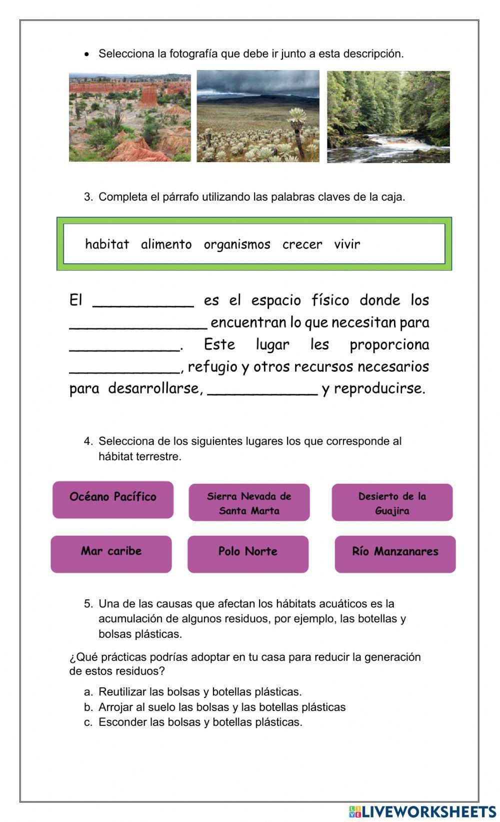 Taller evaluativo hábitat