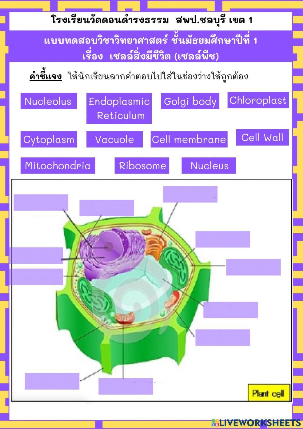 แบบทดสอบวิชาวิทยาศาสตร์ ชั้นมัธยมศึกษาปีที่ 1