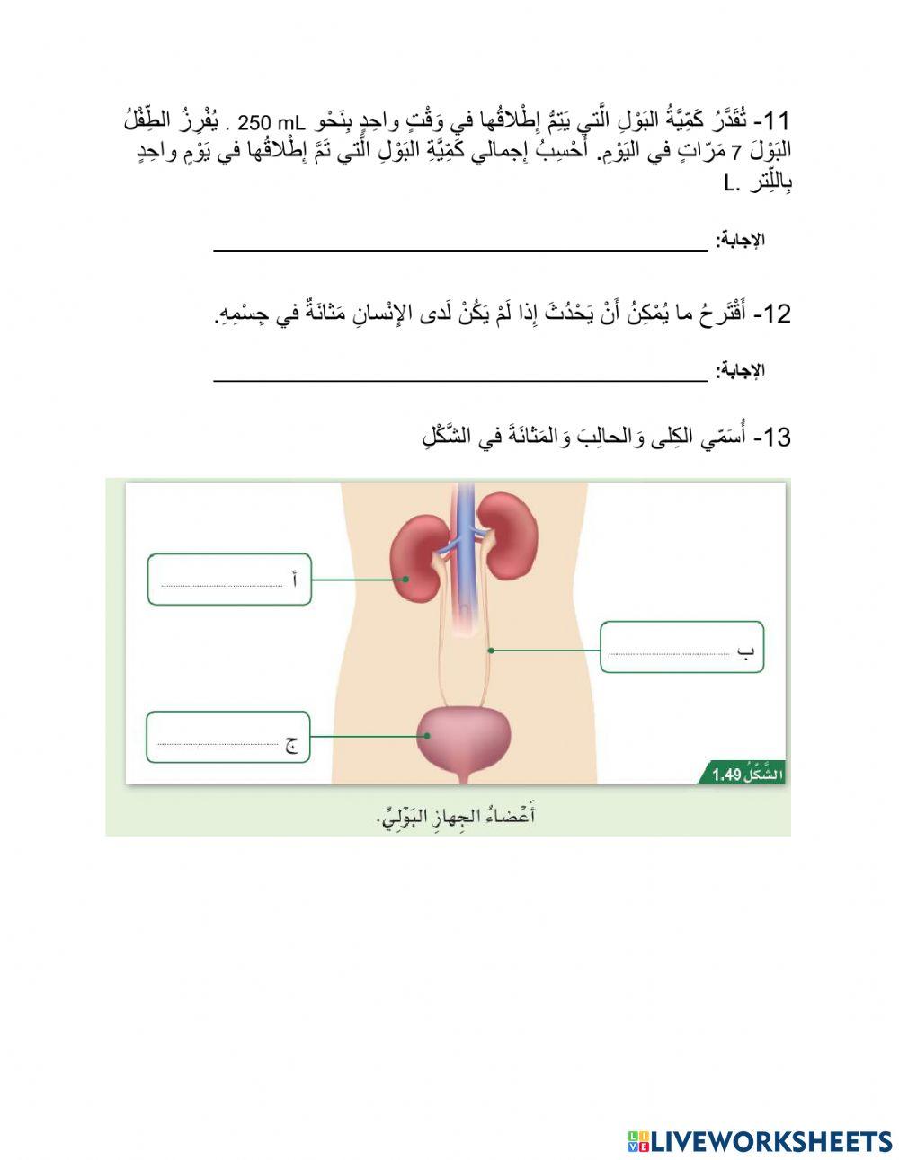 مراجعة الجهاز البولي واعضاء الحس