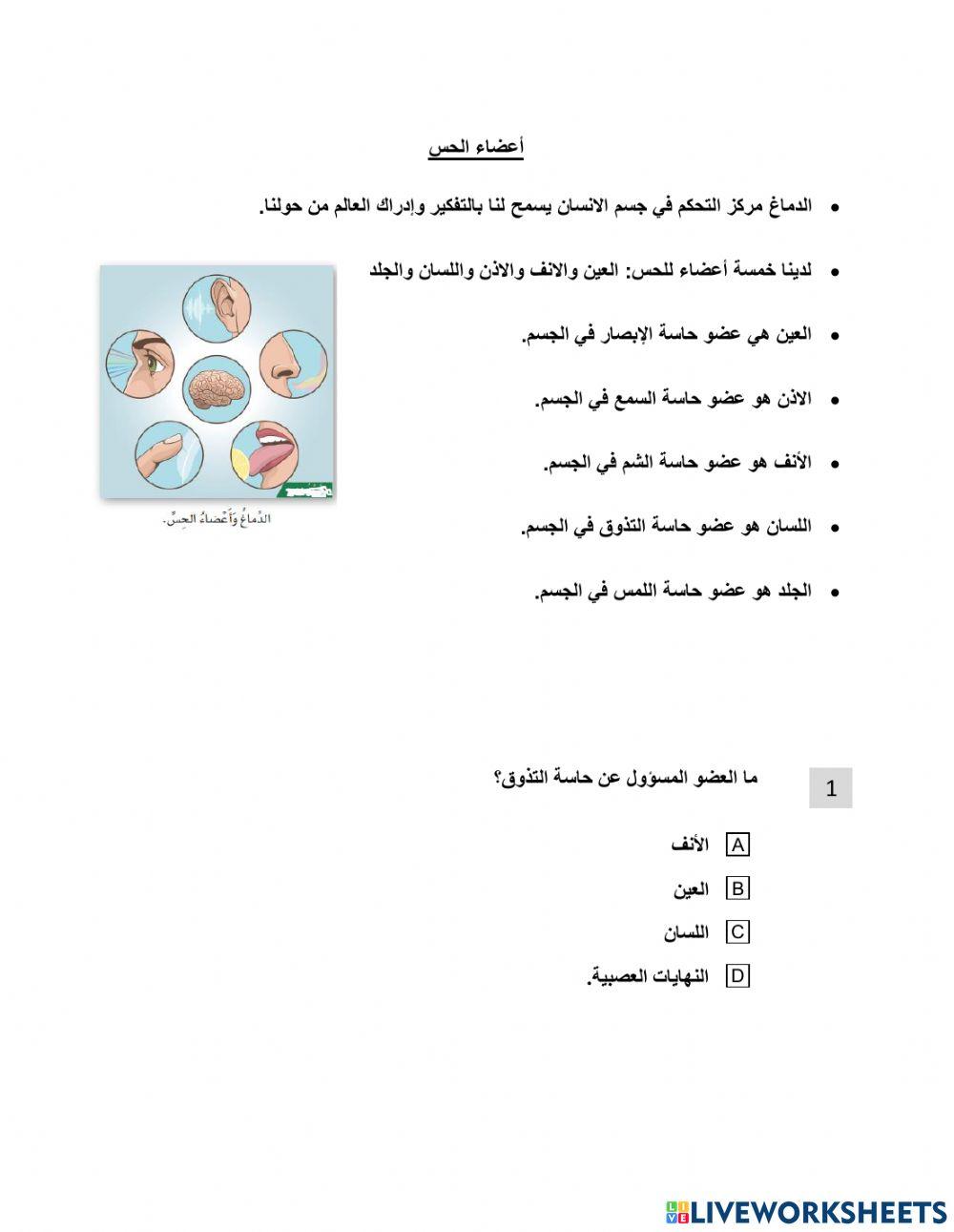 مراجعة الجهاز البولي واعضاء الحس