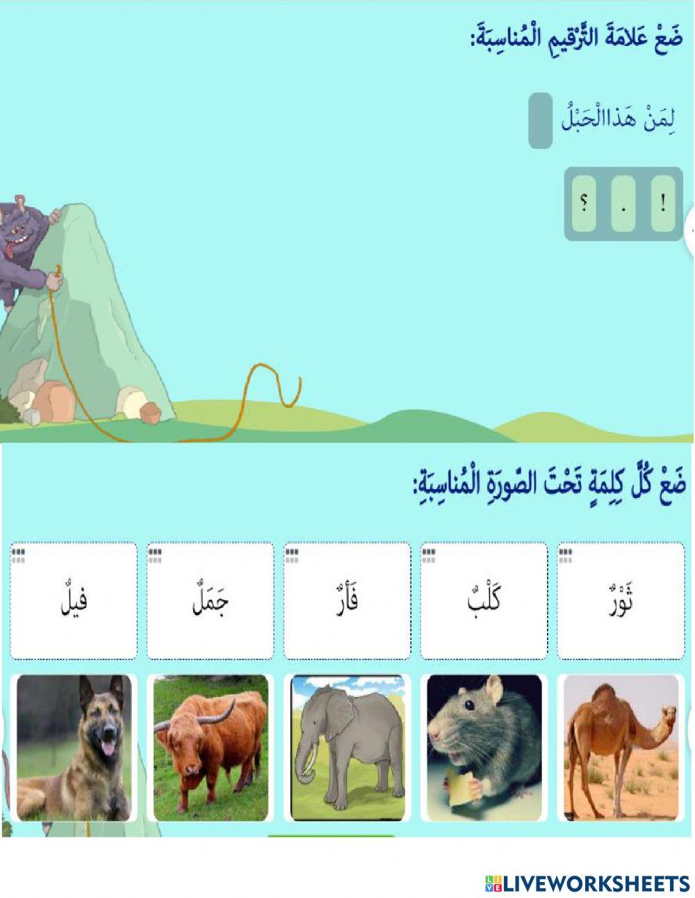 لمن الحبل ؟