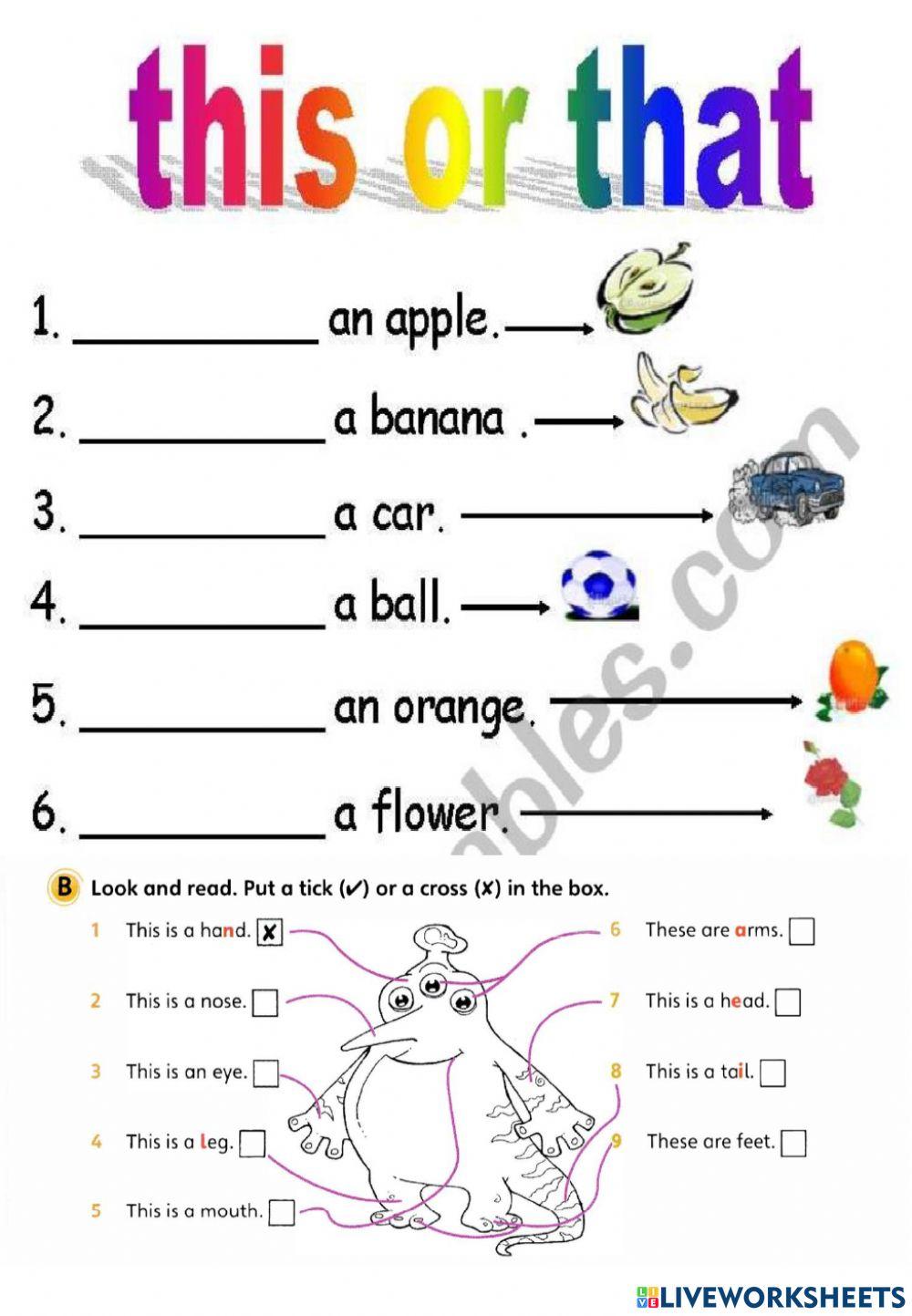 This that - body - zoo animals - subjects