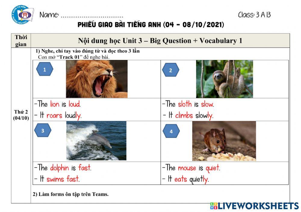 Hướng dẫn học tuần 10