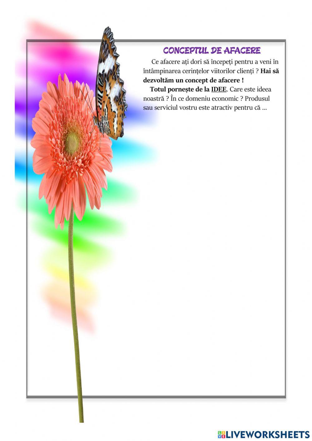 Conceptul de afacere