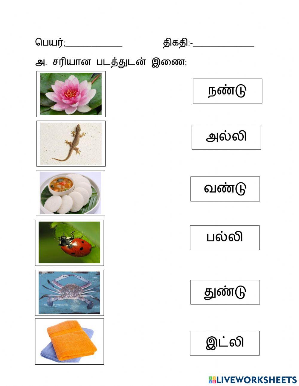 மூவெழுத்துச் சொற்கள்