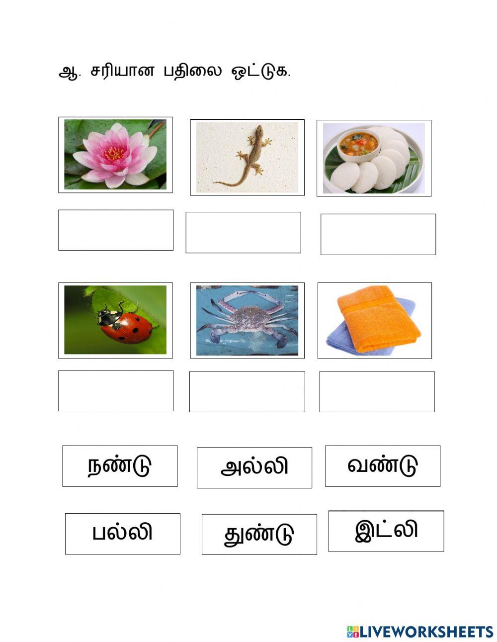 மூவெழுத்துச் சொற்கள்