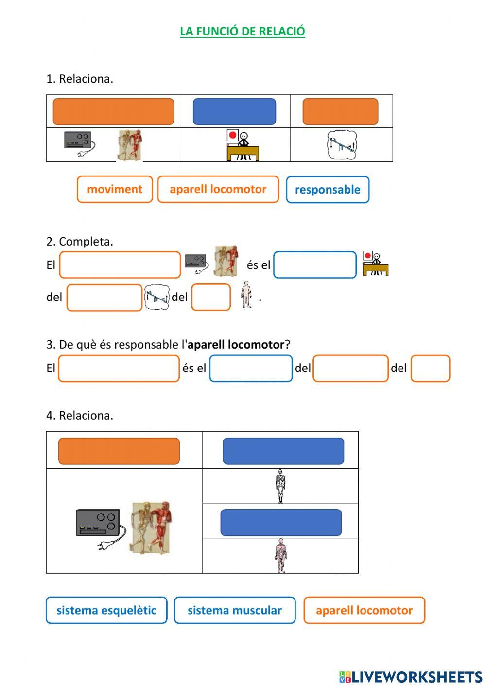 Les funcions vitals - la relació (3)