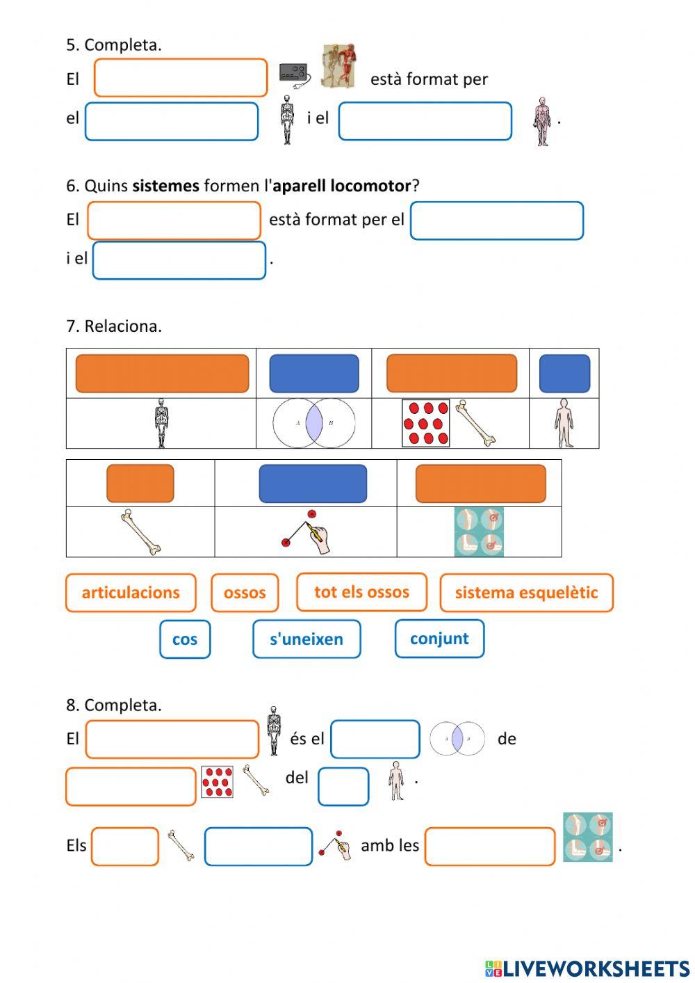 Les funcions vitals - la relació (3)