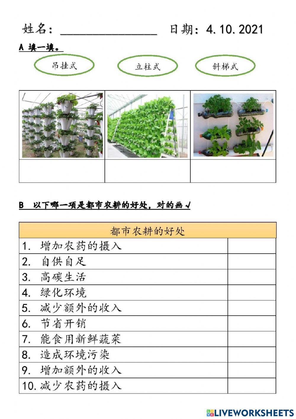 五年级设计与工艺