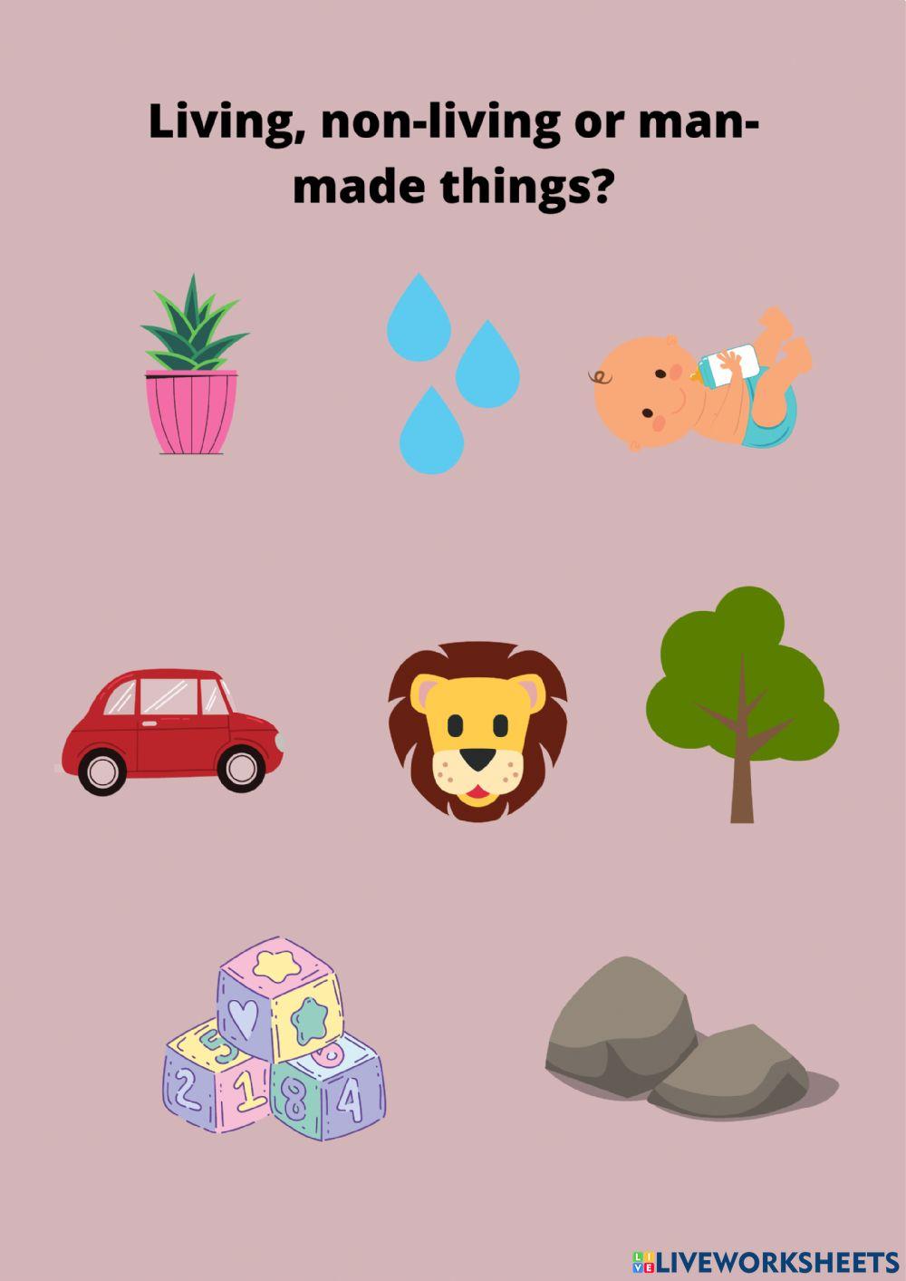 Living, non-living or man made things?