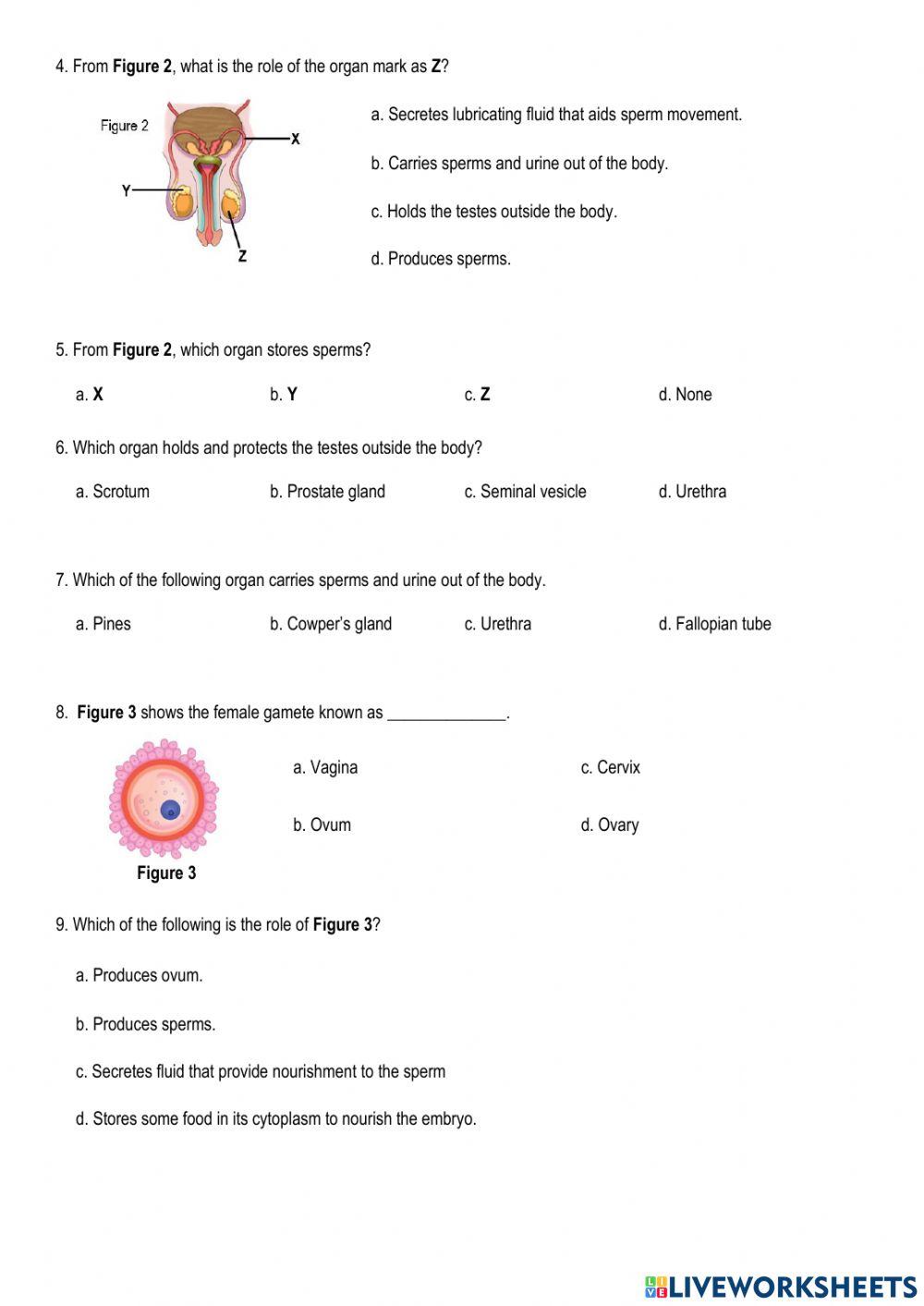 1st Term Final Exam SC22101