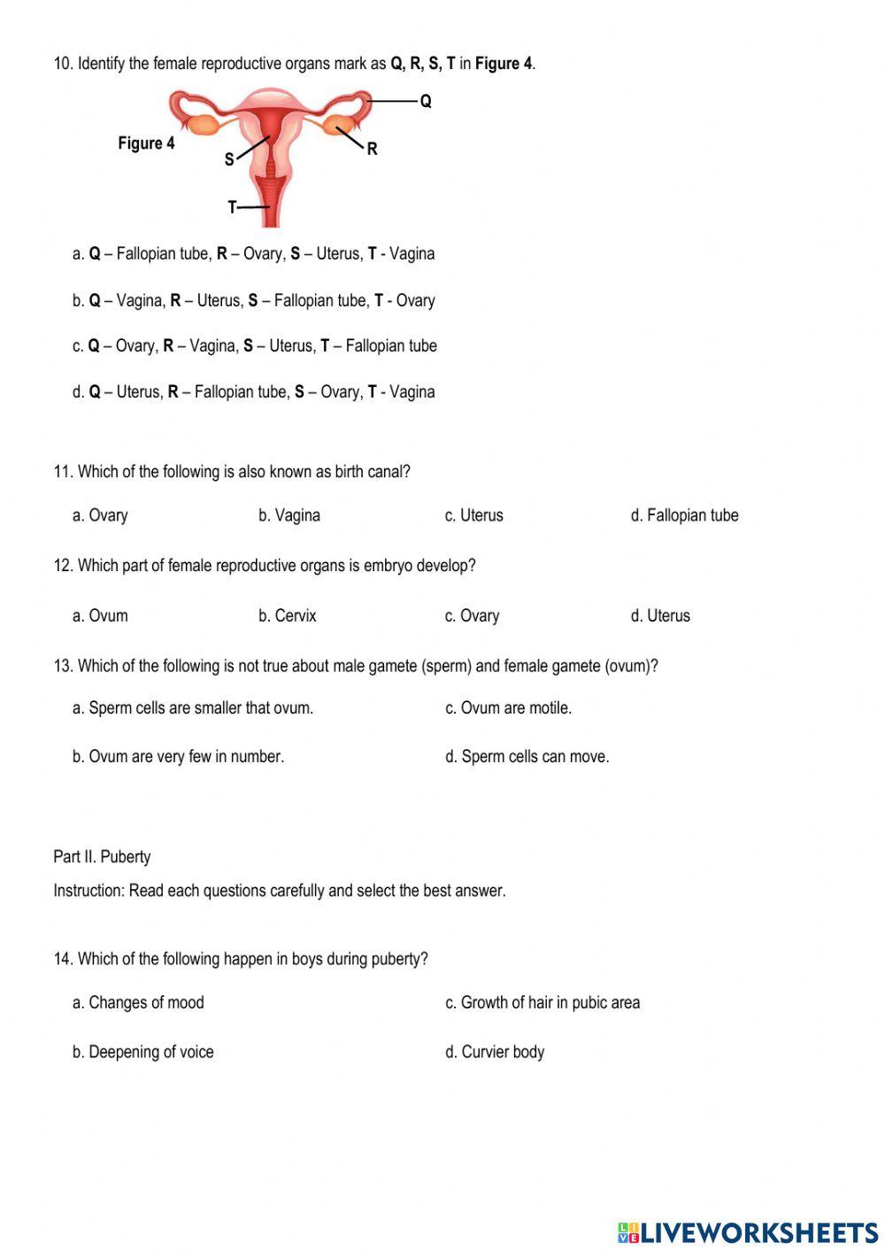 1st Term Final Exam SC22101