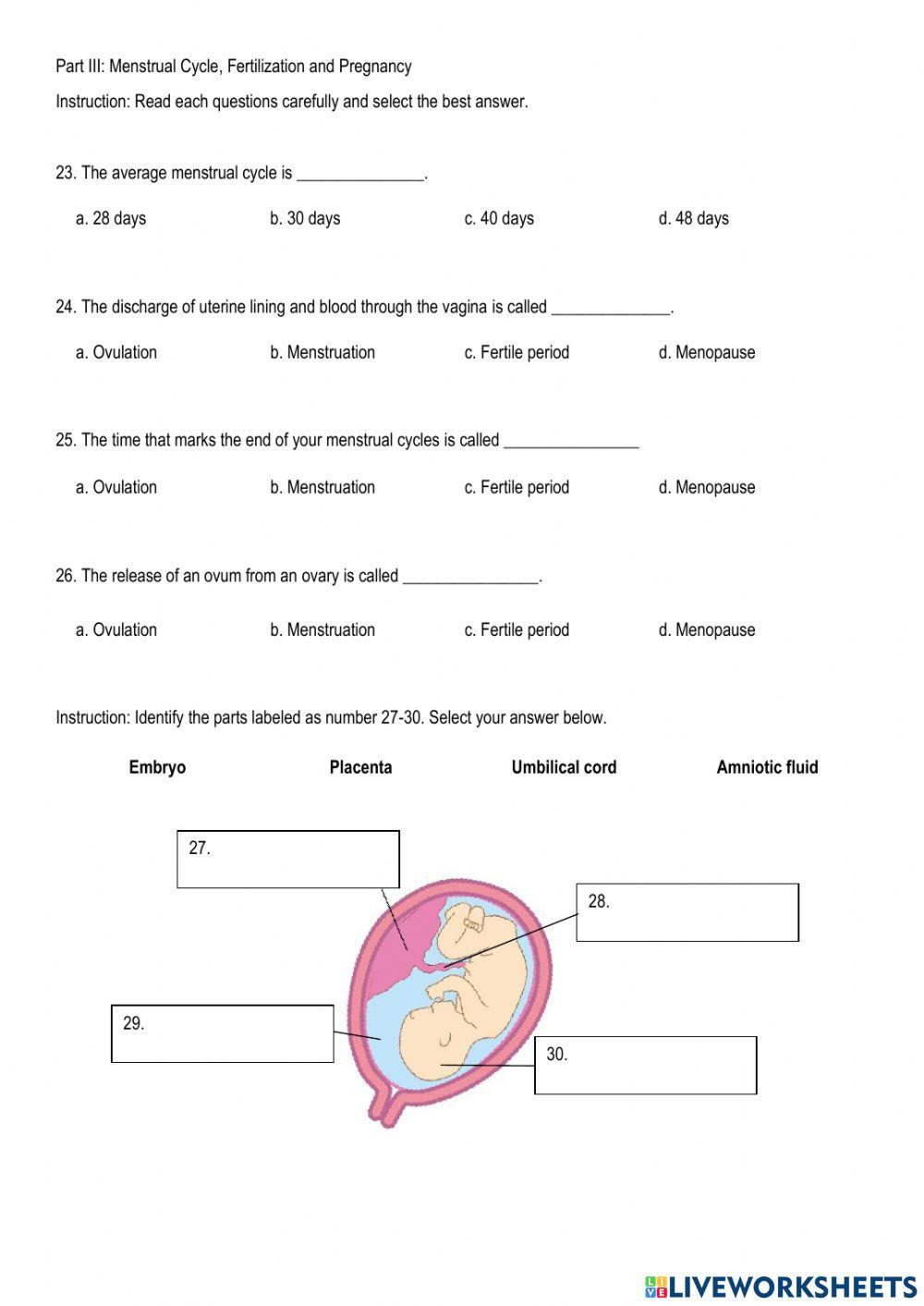 1st Term Final Exam SC22101