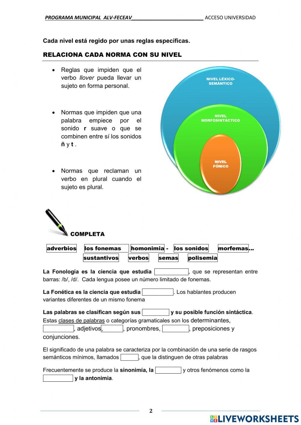 Niveles estudio lengua