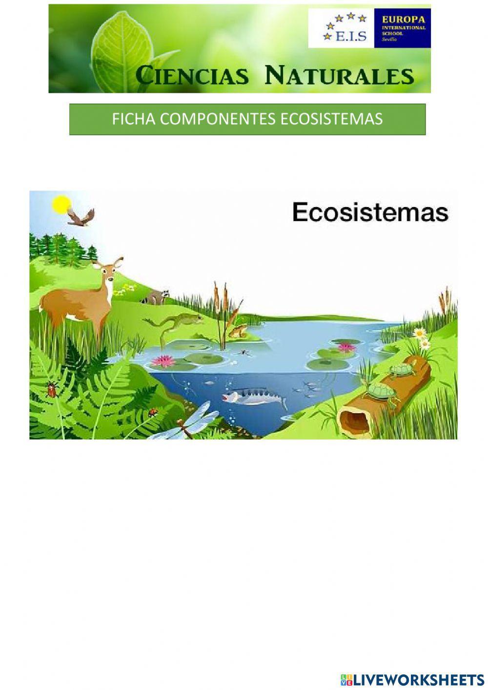 Componentes ecosistemas