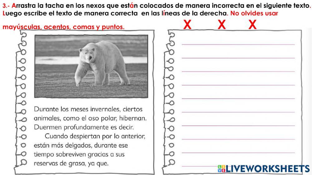 Nexos para formar oraciones y párrafos