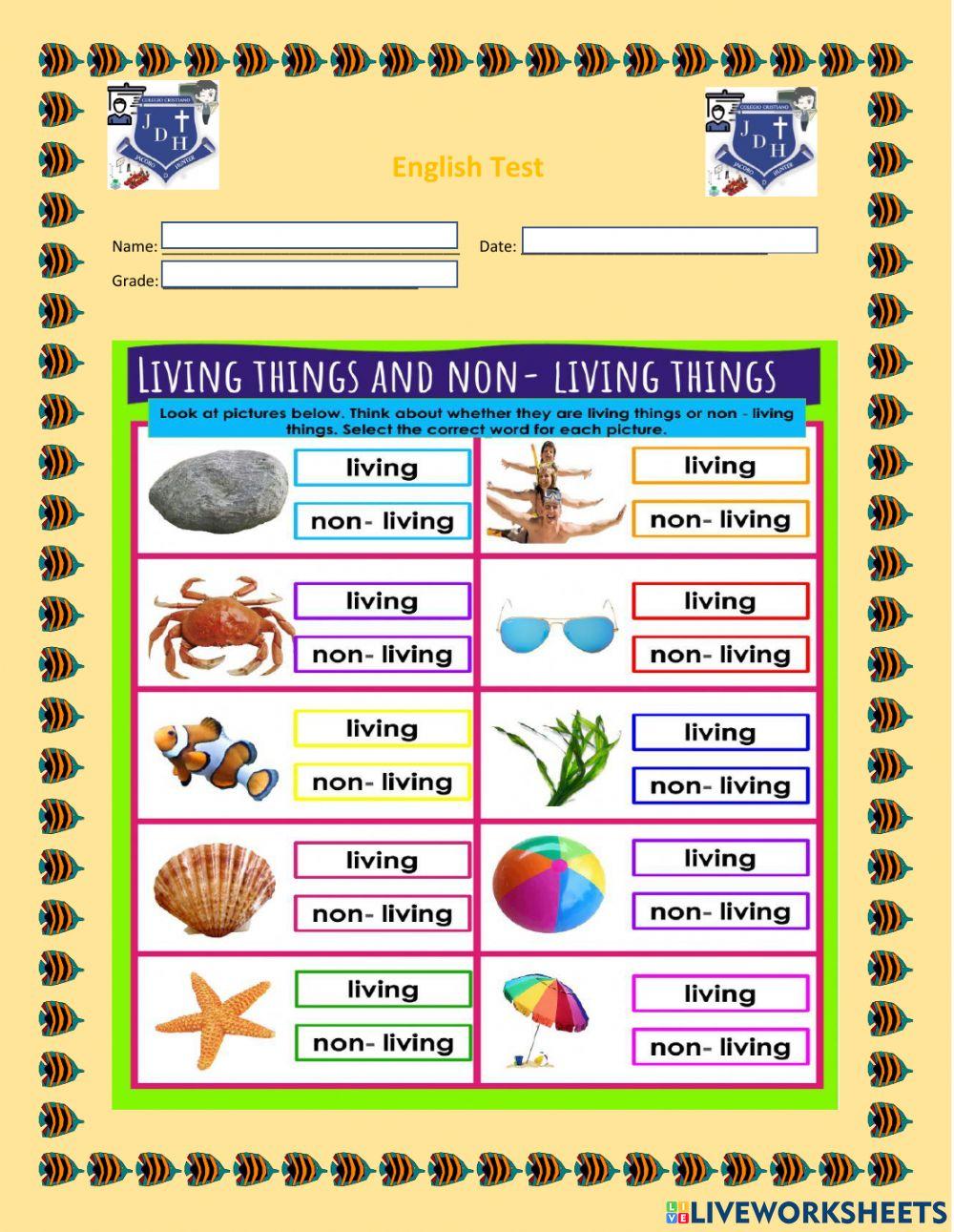 living-things-and-non-living-things-worksheet-live-53-off