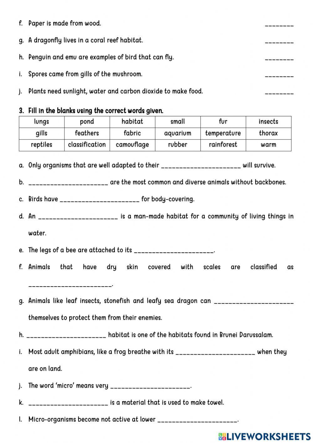 Theme 1: Paper 2 (Revision)
