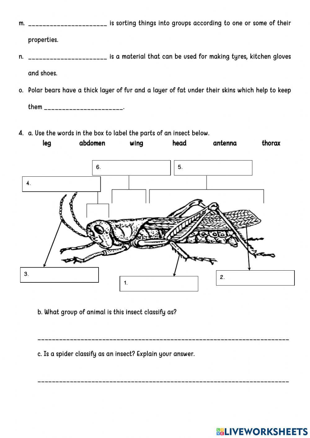 Theme 1: Paper 2 (Revision)