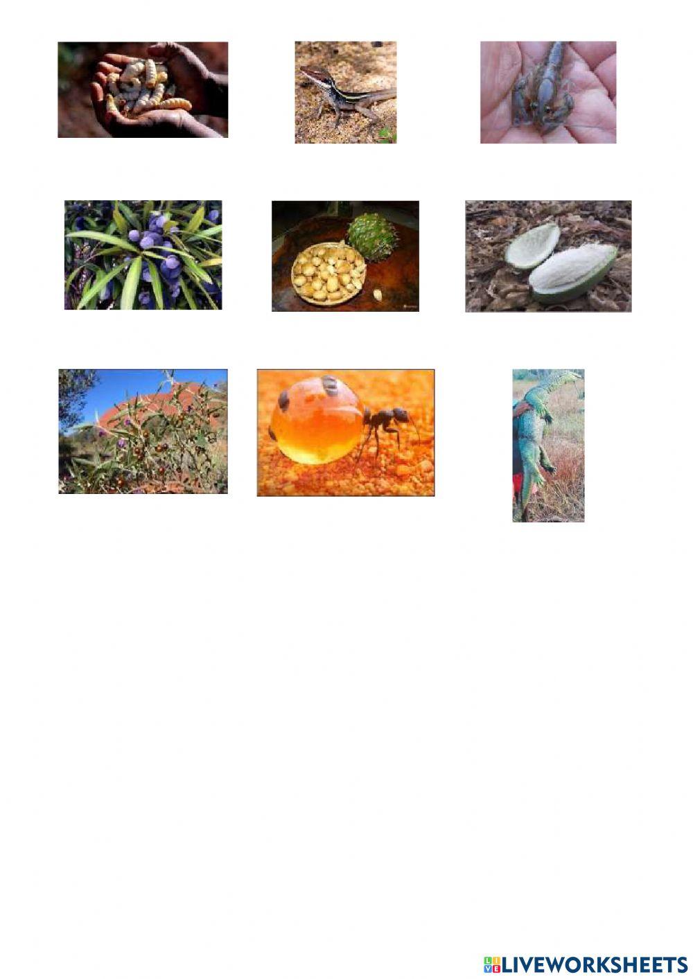 La nourriture aborigène