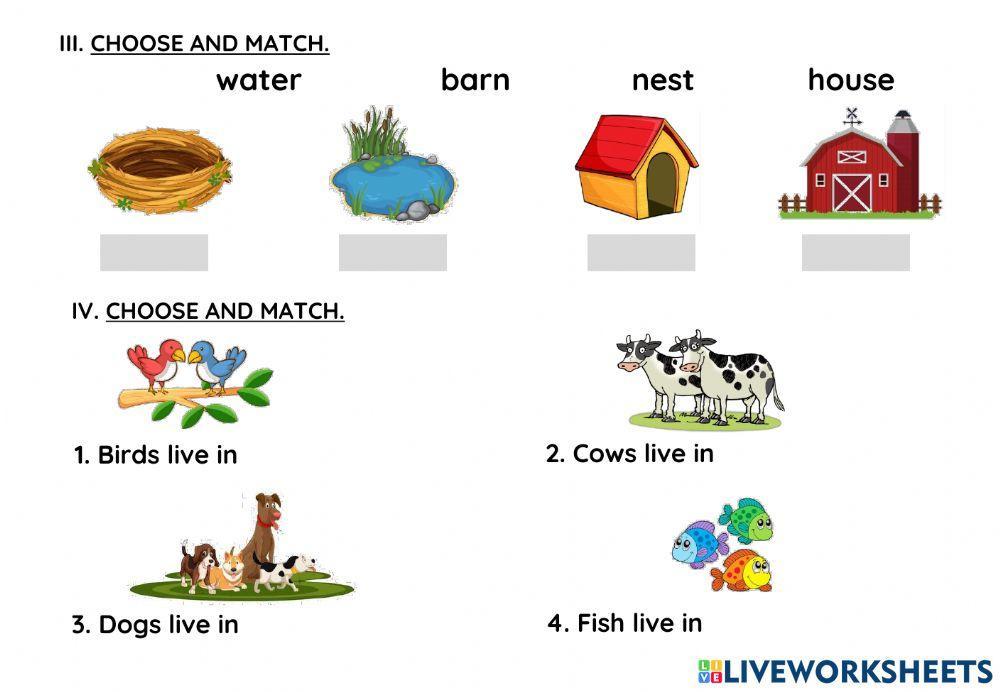 Week 14- worksheet review