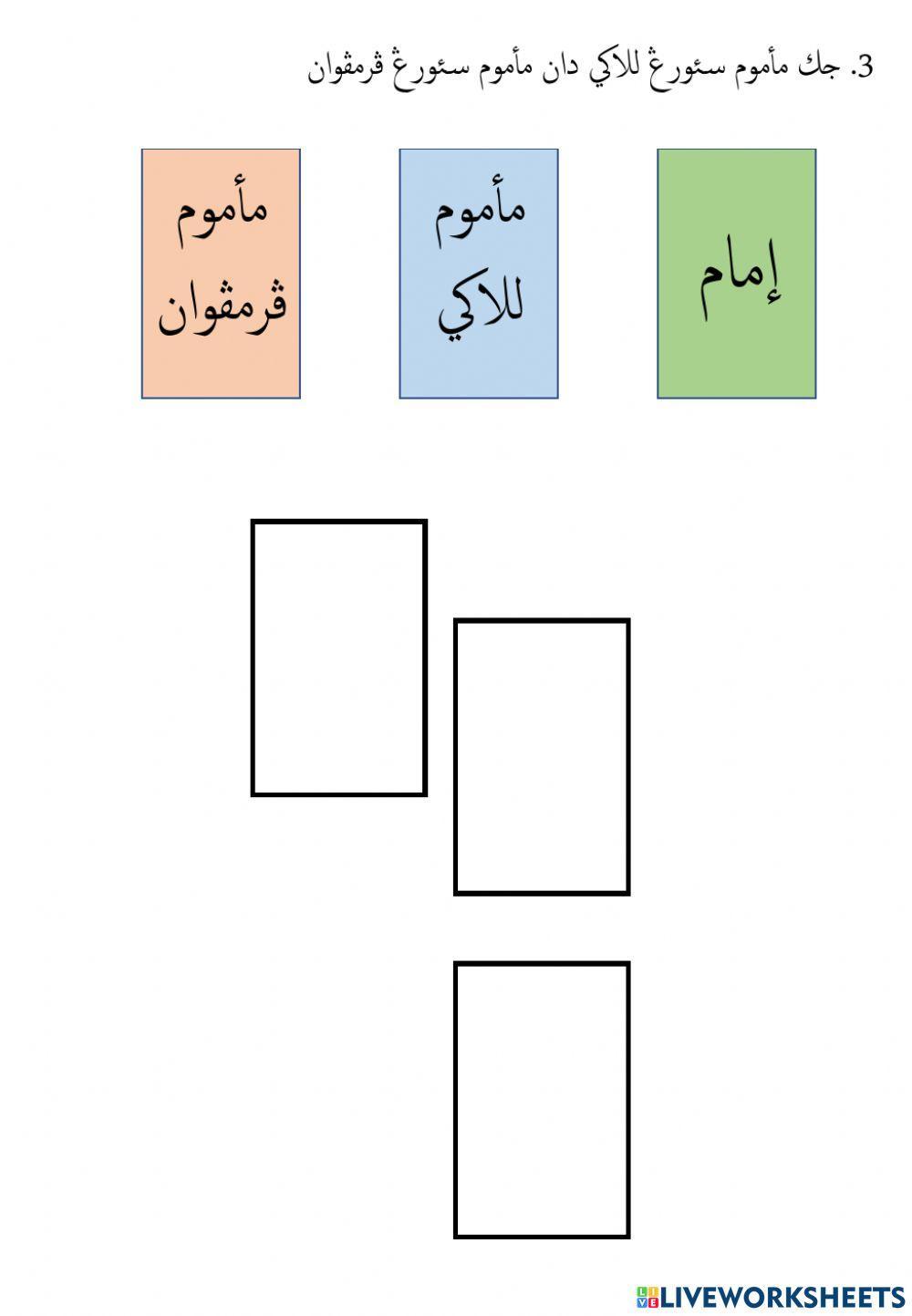 Latihan Amali: Kedudukan Saf Dalam Sembahyang Berjemaah