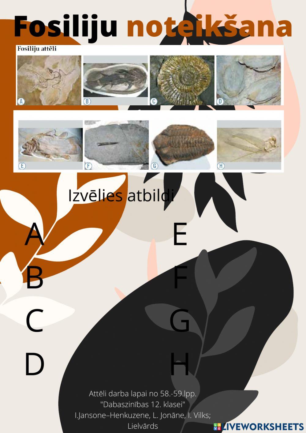 Fosiliju noteikšana