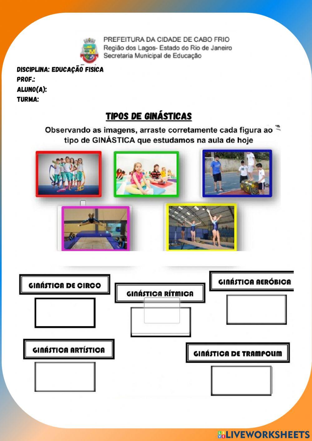 Tipos de ginásticas