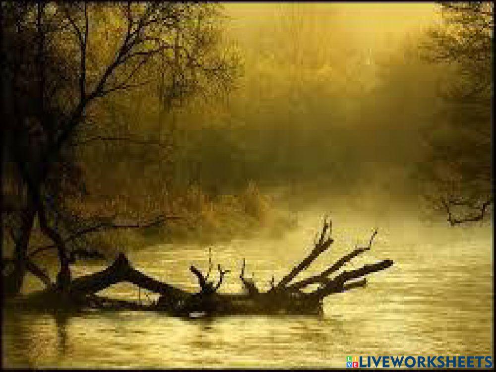 Adam Mickiewicz Świteź