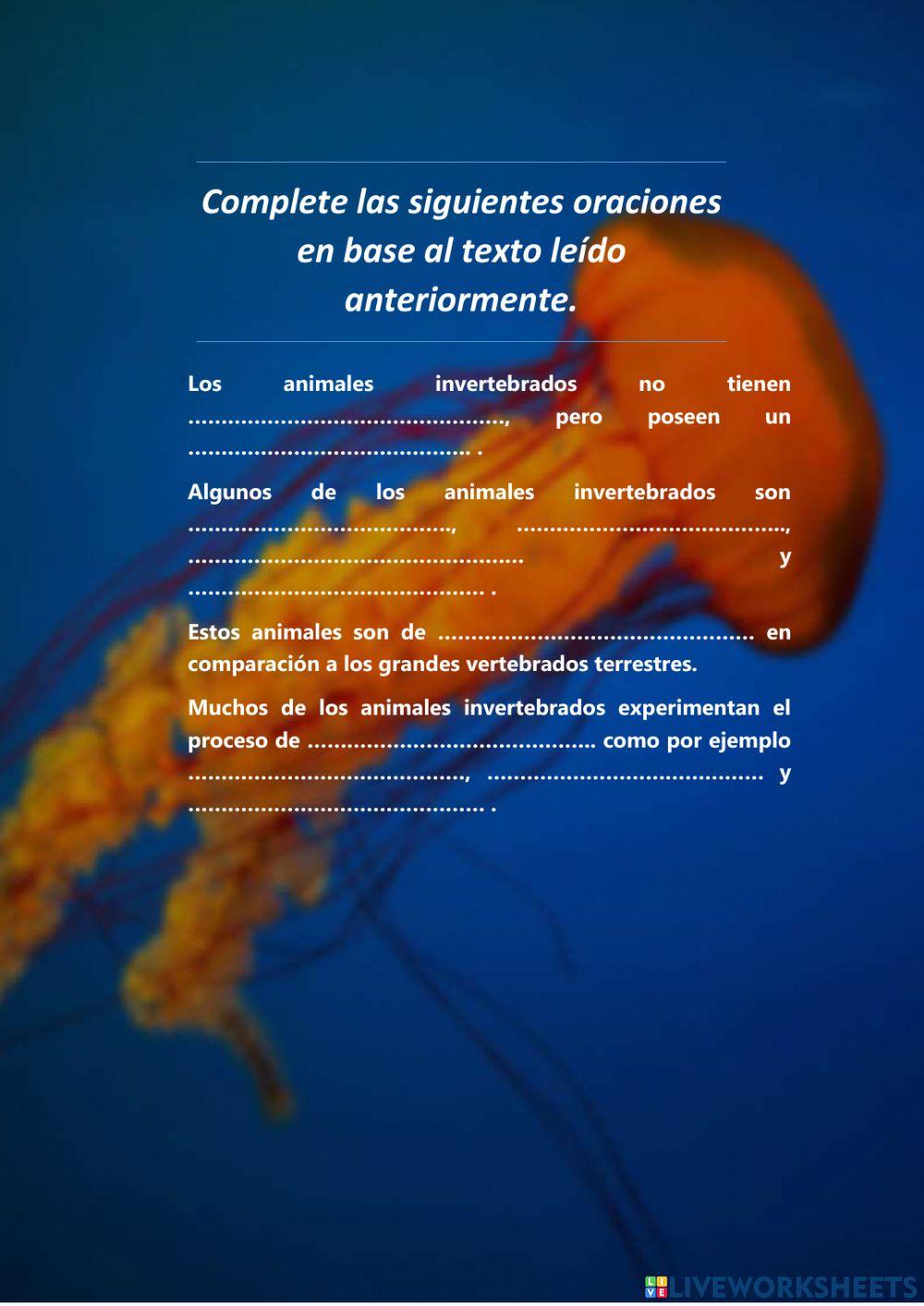 Animales Invertebrados