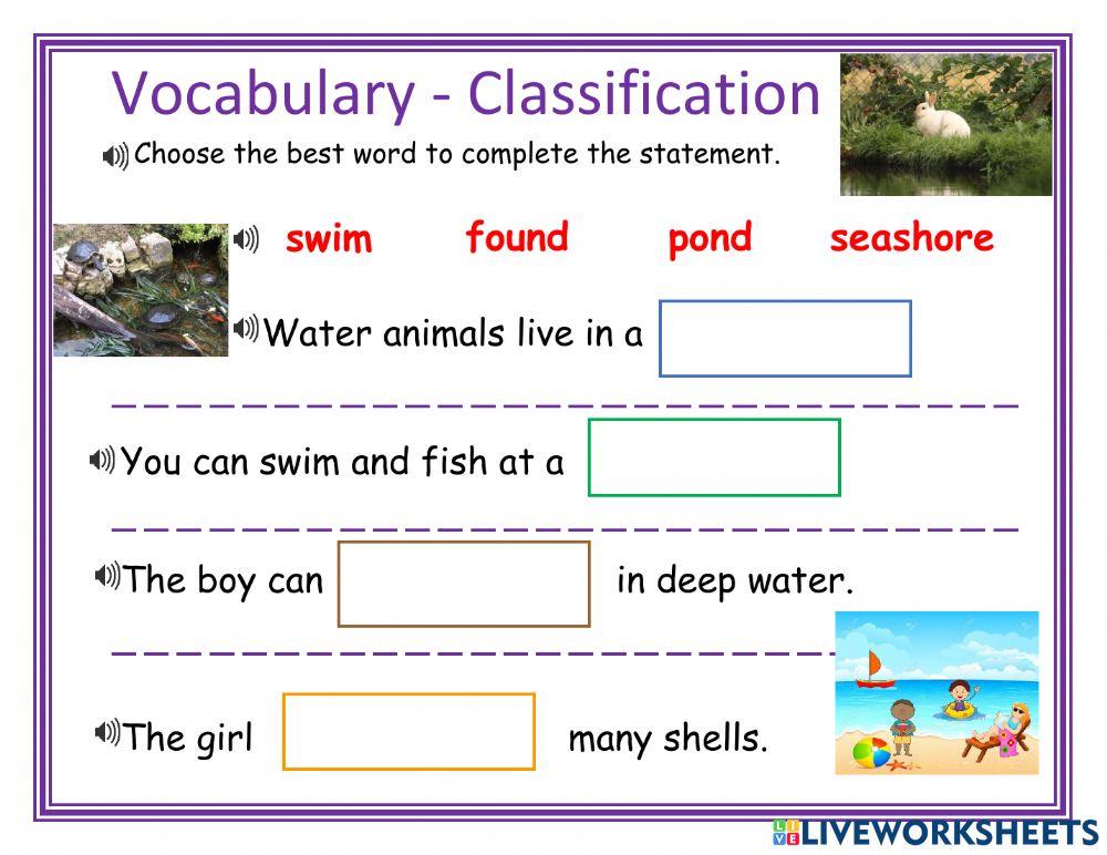 Vocabulary - Classification