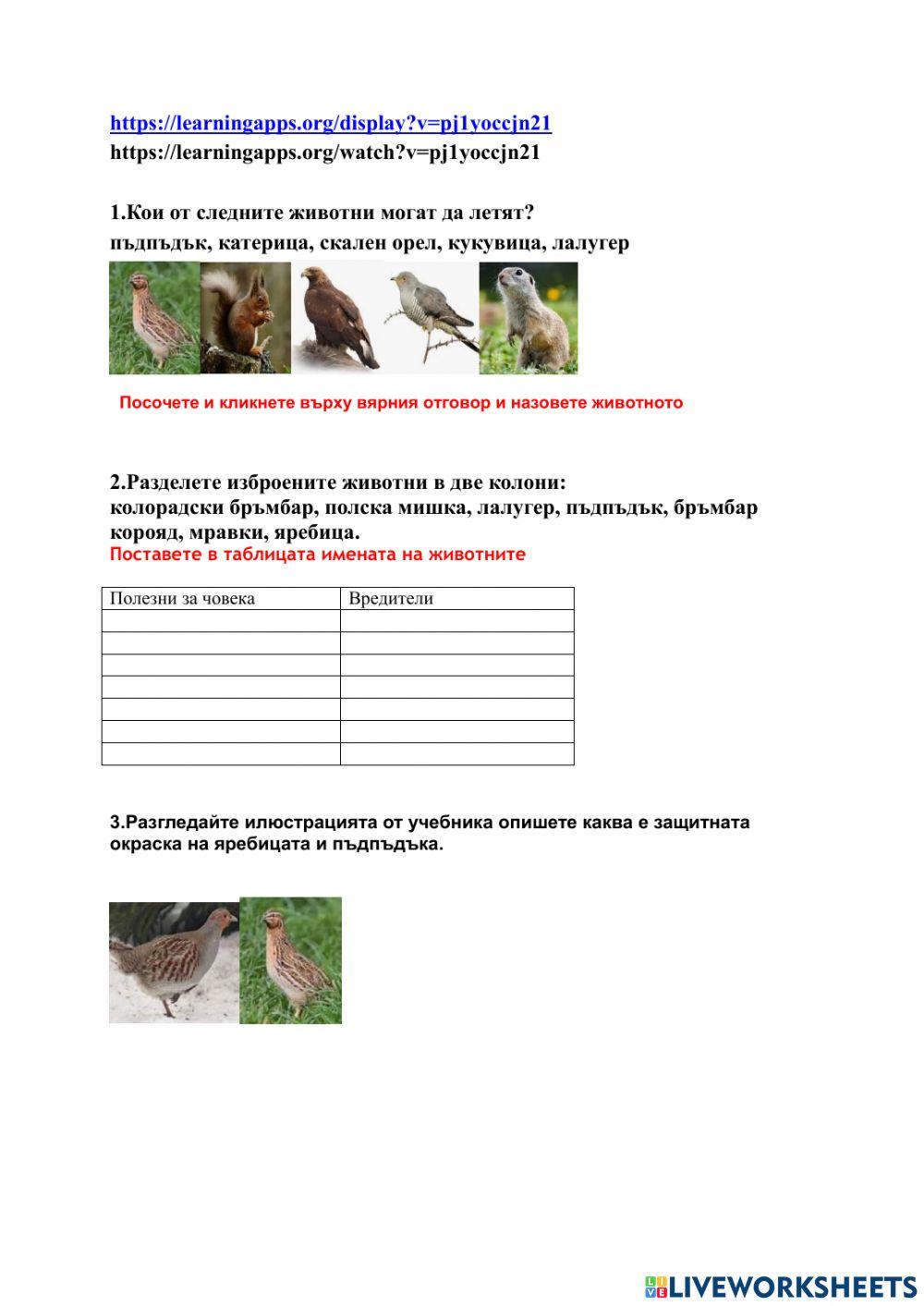 Животните на сушата worksheet | Live Worksheets