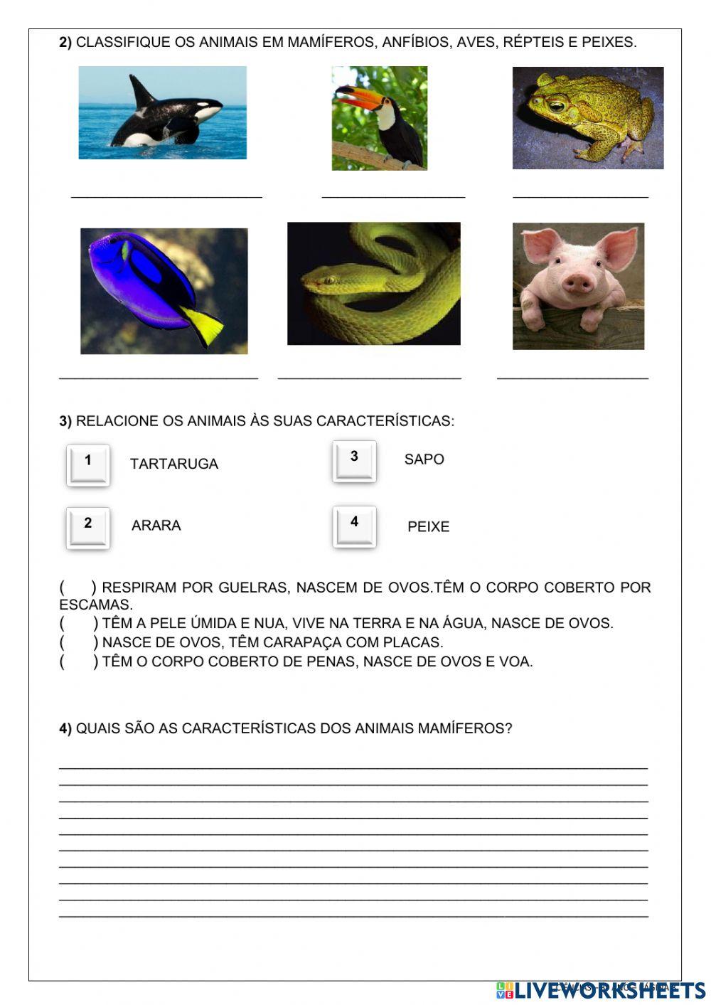 Classificação dos animais